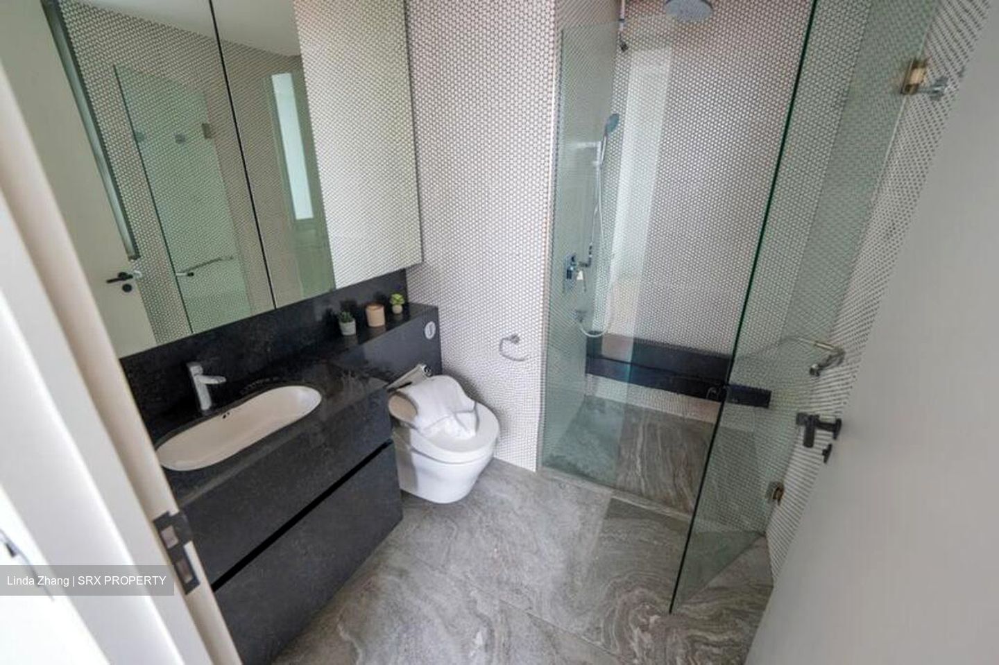 10 Evelyn (D11), Apartment #512120941